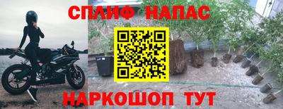 прущие грибы Пугачёв